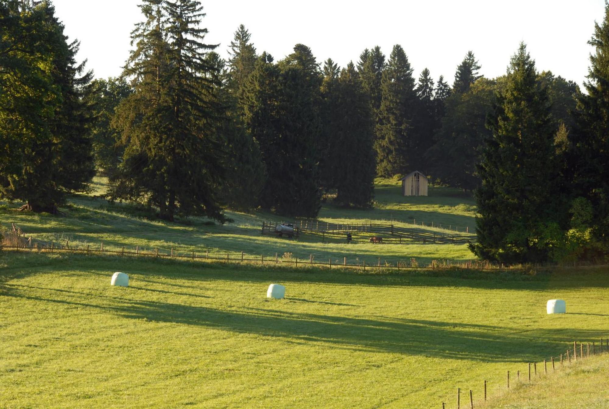 Zweilindenhof Hotel Seeshaupt Kültér fotó